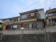 B_01_Ysmt_hayama.JPG