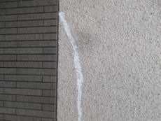 S_05_Nd_hirayamadai.JPG