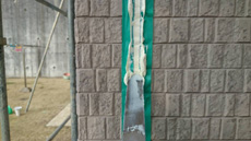 20150127h_10.jpg