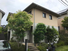 B_01_Smd_takasirodai.jpg