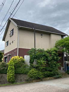 B_01_Ngn_takasirodai.jpg